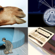 Clockwise from top left: Getty; MuckRock; Benjamin Currie (Gizmodo); Victoria Song (Gizmodo).
